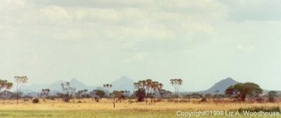 View from the "hut's" porch
